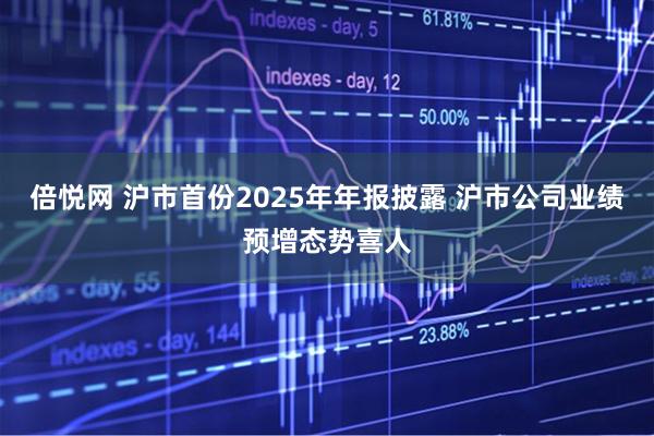 倍悦网 沪市首份2025年年报披露 沪市公司业绩预增态势喜人
