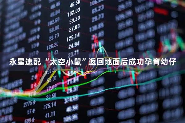 永星速配 “太空小鼠”返回地面后成功孕育幼仔
