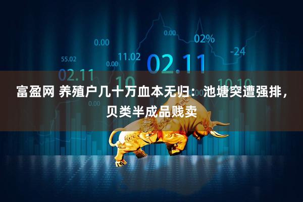 富盈网 养殖户几十万血本无归：池塘突遭强排，贝类半成品贱卖