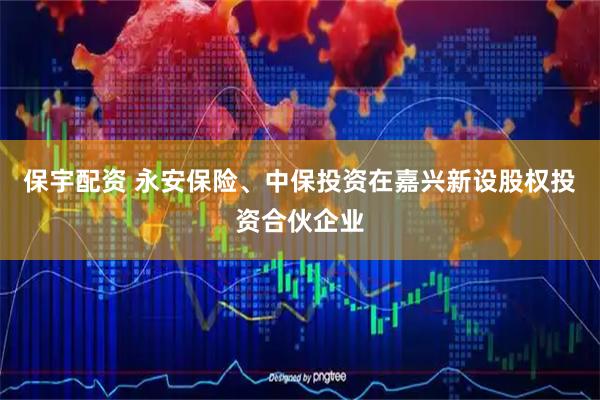 保宇配资 永安保险、中保投资在嘉兴新设股权投资合伙企业