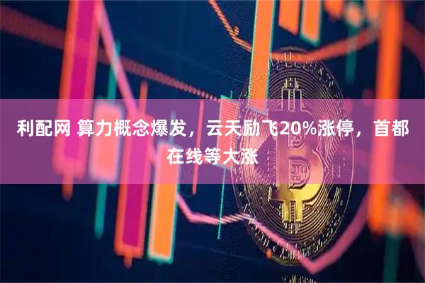 利配网 算力概念爆发，云天励飞20%涨停，首都在线等大涨