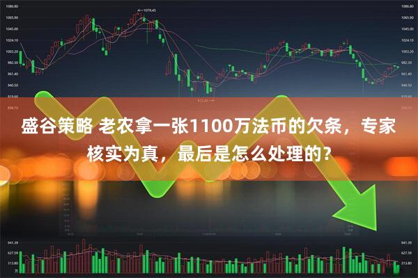 盛谷策略 老农拿一张1100万法币的欠条，专家核实为真，最后是怎么处理的？